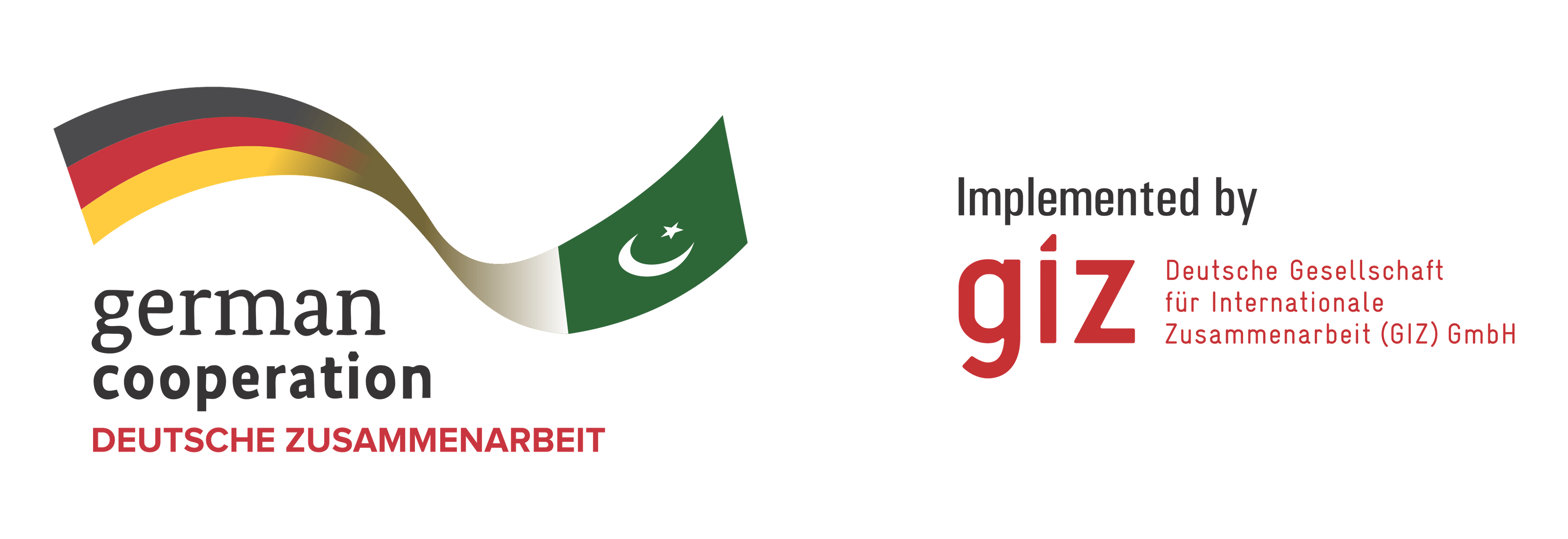 GIZ logo